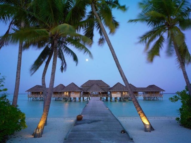 Maldive

