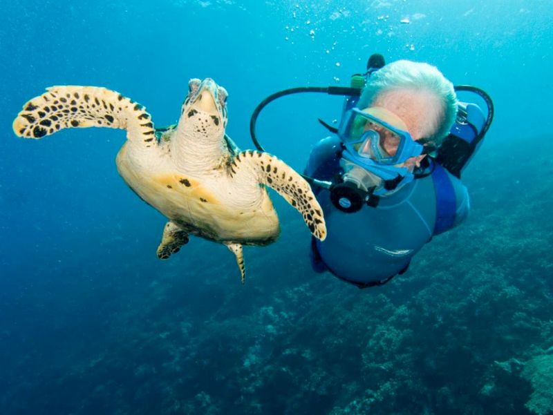 Le immersioni con Jean-Michel Cousteau