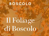 Boscolo